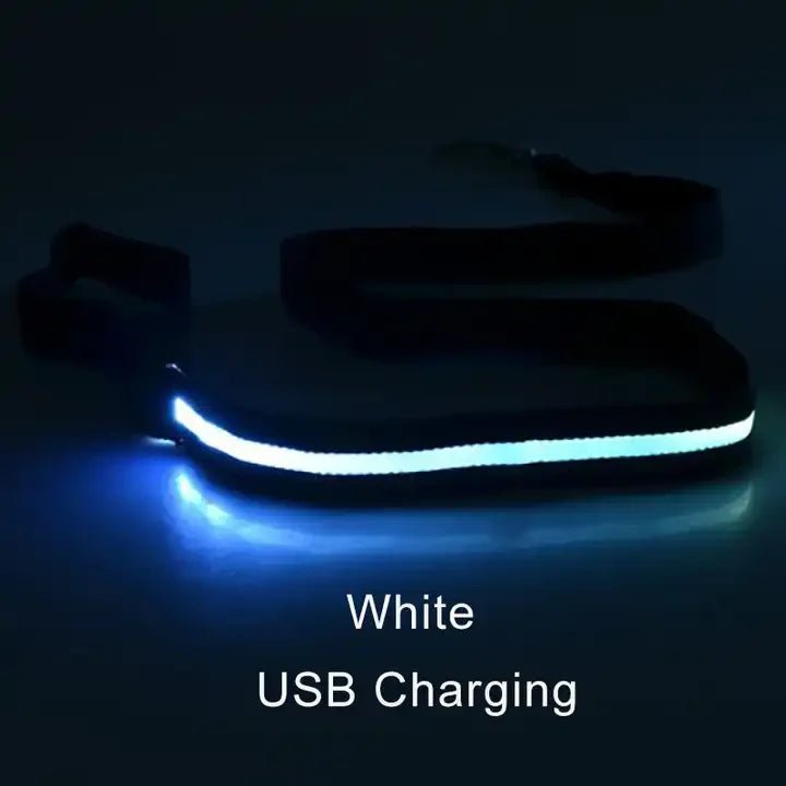 Buy LED Light Up Dog Leash |retractable Dog Leash Pulling | Pet Accessories Dog leash
