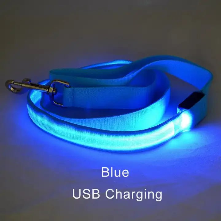 Buy LED Light Up Dog Leash |retractable Dog Leash Pulling | Pet Accessories Dog leash