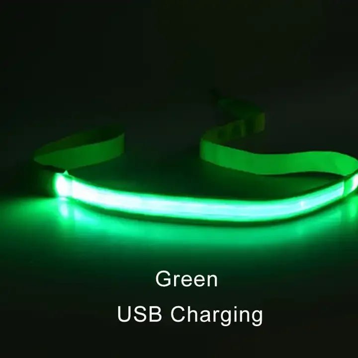 Buy LED Light Up Dog Leash |retractable Dog Leash Pulling | Pet Accessories Dog leash