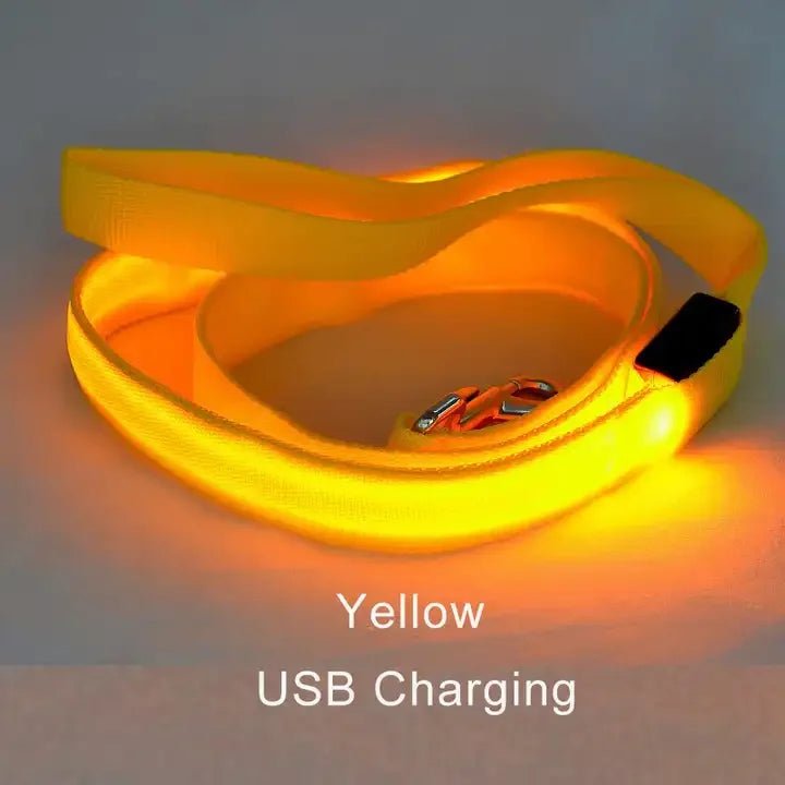 Buy LED Light Up Dog Leash |retractable Dog Leash Pulling | Pet Accessories Dog leash