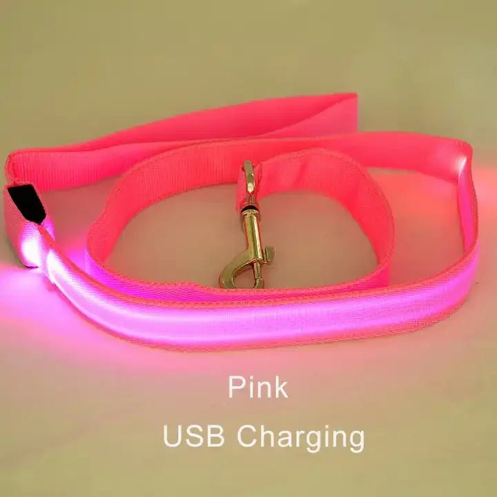 Buy LED Light Up Dog Leash |retractable Dog Leash Pulling | Pet Accessories Dog leash