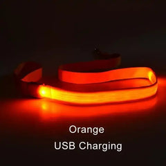 Buy LED Light Up Dog Leash |retractable Dog Leash Pulling | Pet Accessories Dog leash