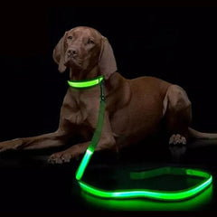 Buy LED Light Up Dog Leash |retractable Dog Leash Pulling | Pet Accessories Dog leash