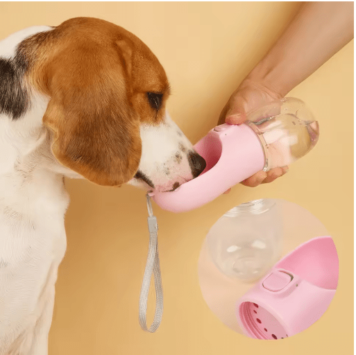 Buy Dog Water Bottle for Pets | Leakproof Outdoor Travel Feeder pet accessories