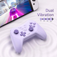 Buy Wireless Bluetooth Gamepad for Switch, PC & Steam Deck - Motion Control Toys