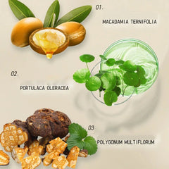 Buy Plant Extract Fragrance Oil Spray for Hair Care Reduce Hair Branching Dryness and Frizz Conditioners No - wash Smooth Silky Hair Hair care