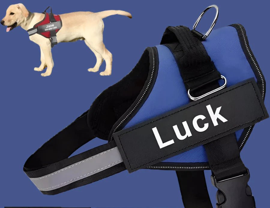 Buy Dog Harness Vest Pet Harness For Dog | Pet Collars and supplies dog harness