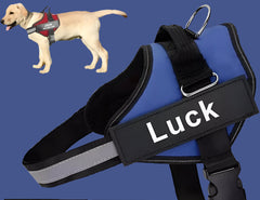 Dog Harness Vest Pet Harness For Dog | Pet Collars and supplies
