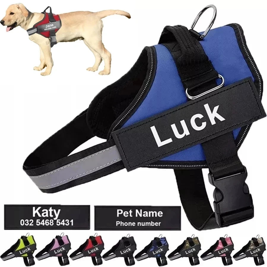 dog vest blue