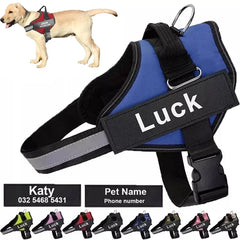 dog vest blue