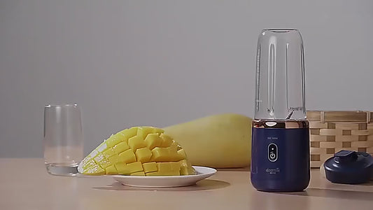Portable Electric Fruit Juice Blenders